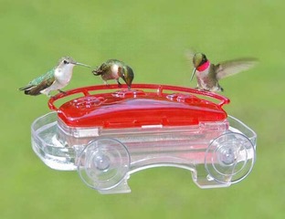 window feeder
